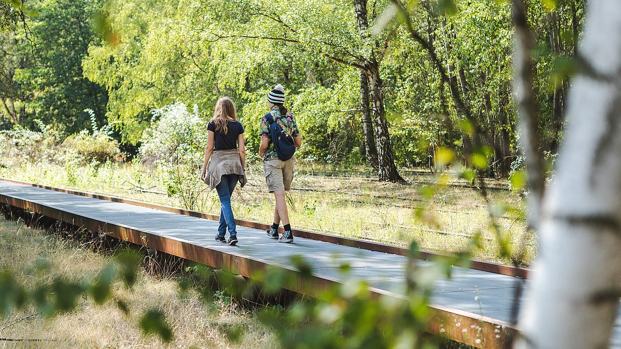 Zwei Menschen laufen über einen Steg im Natur Park Südgelände