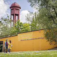Die gelbe Wand im Natur Park Südgelände mit dem rostroten Wasserturm im Hintergrund