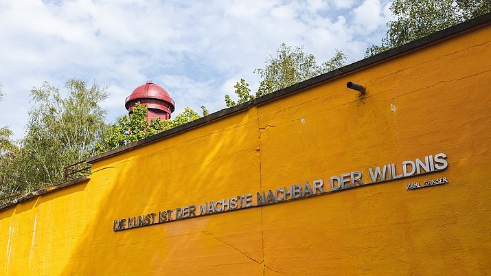 Die gelbe Wand im Natur Park Südgelände mit dahinter der Kuppel des Wasserturms